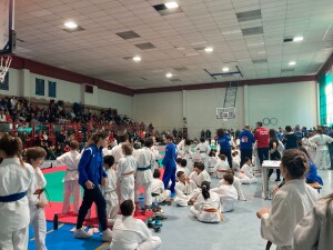 cc4d5ae6-8a30-4e0d-ab96-5cb555d095f4